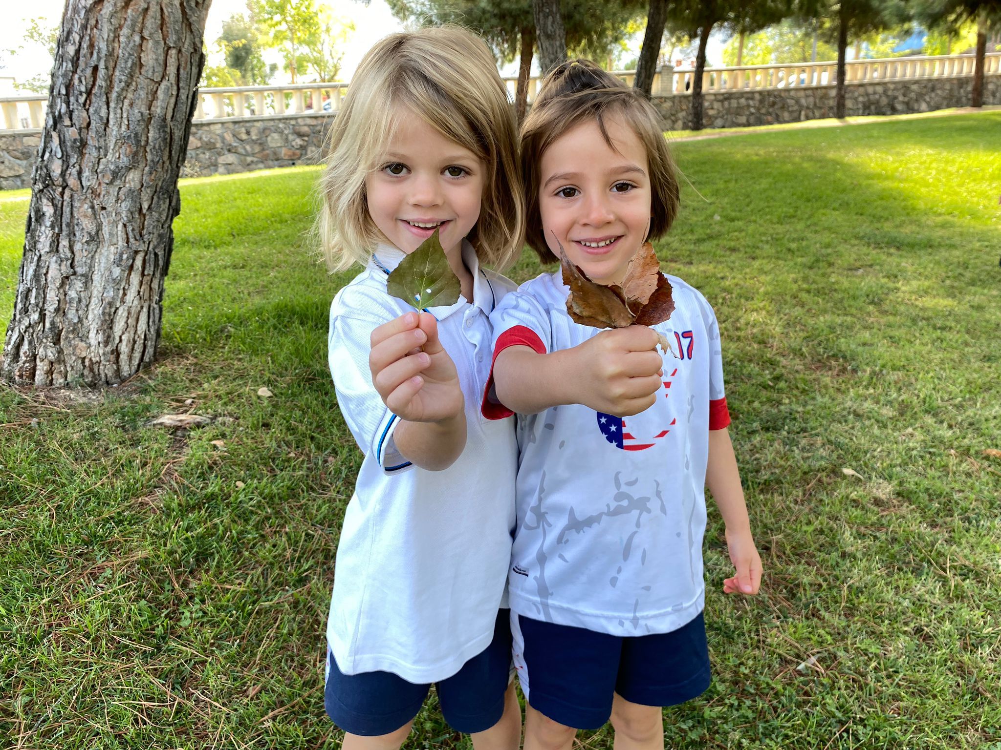 casvi american school