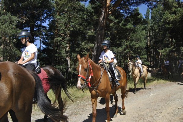 Gredos Summer Camp 2024 (478)