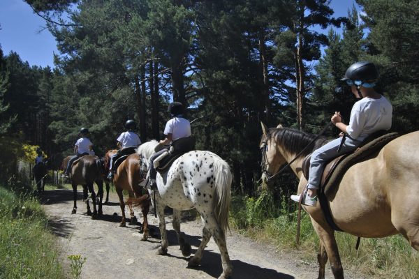 Gredos Summer Camp 2024 (481)